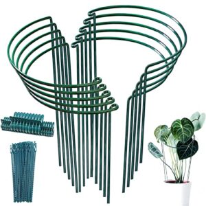 tcbwfy 10 pack plant support stakes for peony,10" widex16 high heavy duty peony cages and support,metal peony supports for outdoor indoor plants,plant supports for peony,tomatoes,hydrangea,rose
