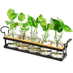 thygiftree plant propagation stations with metal stand, tabletop plant terrarium for propagating hydroponic, retro glass planter flower vase home kitchen office decor, plant lover gifts, 5 jars
