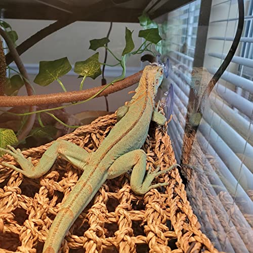 kathson Bearded Dragon Hammock,Lizard Lounger Reptile Tank Hanging Plants Climbing Jungle Vines Flexible Leaves Decorations for Lizards Chameleon Gecko Snakes(5 PCS)