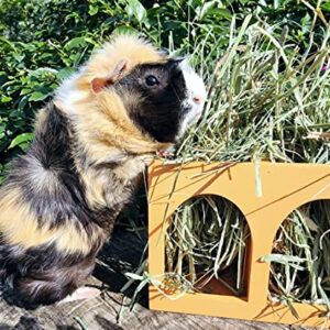 Piggies Choice Hay Feeder Natural Pine Wood Arch Guinea Pig Hay Rack with Option to Attach to Cage (Mango with Bottom)