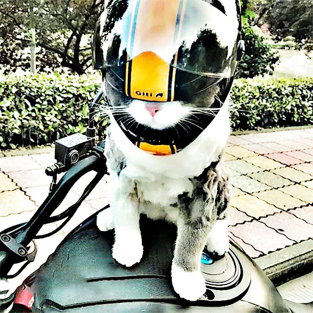 Bahar Pet Helmet Mini Dog Cat Helm Doggie Motorcycle Bike Hat Cap Outdoor Safety Anti Collision