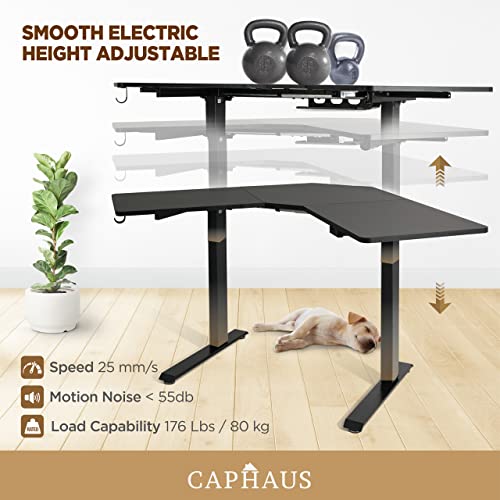 CAPHAUS 48 Inches L Shaped Electric Standing Computer Desk, Home Office Height Adjustable Corner Desk with 2 Position Memory Control Panel, Black Metal Frame & P2 Grade Black Desktop, Single Motor