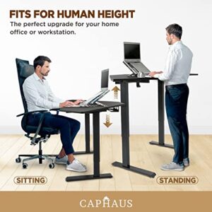 CAPHAUS 48 Inches L Shaped Electric Standing Computer Desk, Home Office Height Adjustable Corner Desk with 2 Position Memory Control Panel, Black Metal Frame & P2 Grade Black Desktop, Single Motor