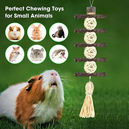 PRAZONVEE Rabbit Chew Toys, Molar Wood Treats Toys for Hamster, Organic Apple Strings Chew and Play Toys Teeth Grinding, with 2 Pine Nuts, for Bunny, Guinea Pigs, Chinchillas and Small Animals