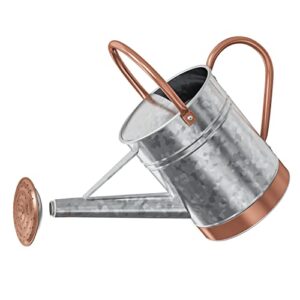 8pints 1 gallon watering can for outdoor plants - metal watering can for outdoor plants house plant watering can with sprinkle head perfect watering can indoor plants for outdoor and indoor gardening