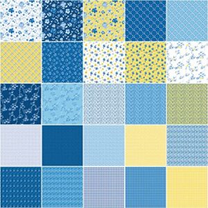 Sunshine & Dewdrops Riley Blake 5-inch Stacker by Sandy Gervais, 42 Precut Fabric Quilt Squares