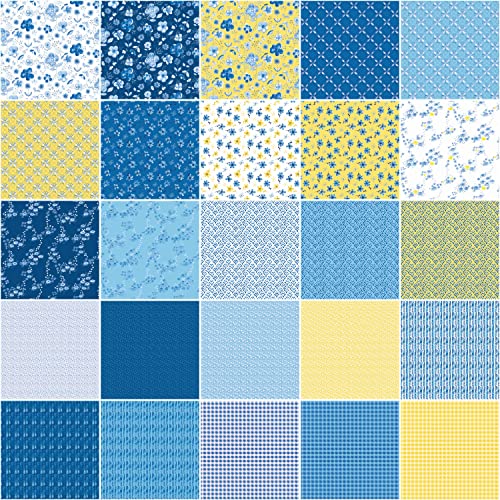 Sunshine & Dewdrops Riley Blake 5-inch Stacker by Sandy Gervais, 42 Precut Fabric Quilt Squares