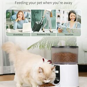 Automatic Cat Feeders, 4L Pet Food Dispenser with Programmable Timer, Dry Food Meal Portion Size Control, Pet Food Feeder for Small & Medium Cats Dogs, Desiccant Bag, Voice Recorder