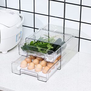 YCOCO Large Capacity Refrigerator 2 Tier With Lid Type Storage Box,Multi-Function Storage Drawer Container Organizer, with Removable Egg Tray and Drain Tray,Clear