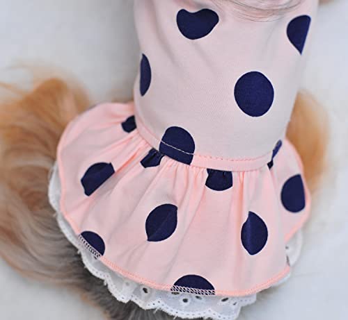 MSNFOASM 2Pcs-Pet Dog Elastic Soft Dress,Cute Polka Dots Lace Skirt for Small Dogs Cats（White&Pink S）