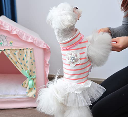 MSNFOASM Pet Dog Pink Stripe Dog Dress,Dog Tutu Lace Skirt Wedding Dress for Small Girl Dogs Cats（Pink Stripe M）