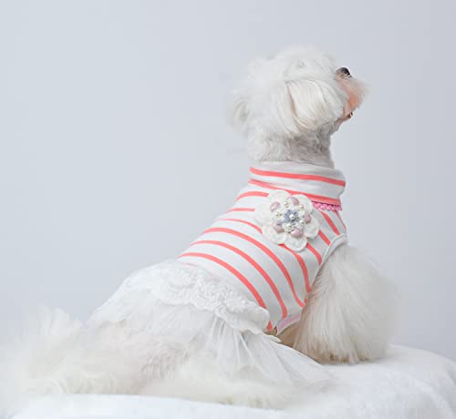 MSNFOASM Pet Dog Pink Stripe Dog Dress,Dog Tutu Lace Skirt Wedding Dress for Small Girl Dogs Cats（Pink Stripe M）