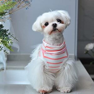 MSNFOASM Pet Dog Pink Stripe Dog Dress,Dog Tutu Lace Skirt Wedding Dress for Small Girl Dogs Cats（Pink Stripe M）