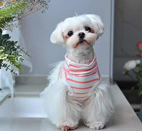 MSNFOASM Pet Dog Pink Stripe Dog Dress,Dog Tutu Lace Skirt Wedding Dress for Small Girl Dogs Cats（Pink Stripe M）