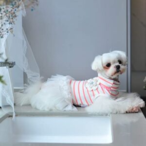 MSNFOASM Pet Dog Pink Stripe Dog Dress,Dog Tutu Lace Skirt Wedding Dress for Small Girl Dogs Cats（Pink Stripe M）