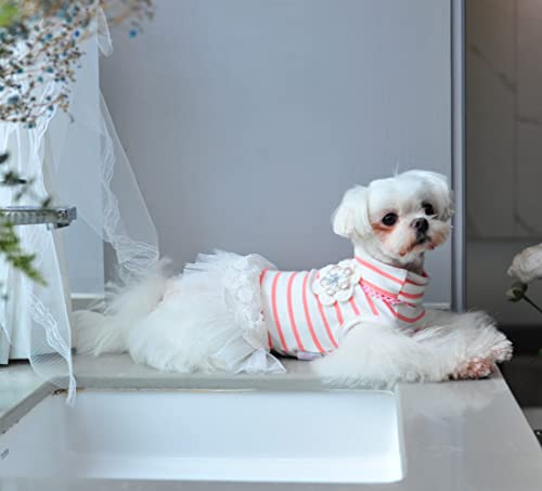 MSNFOASM Pet Dog Pink Stripe Dog Dress,Dog Tutu Lace Skirt Wedding Dress for Small Girl Dogs Cats（Pink Stripe M）