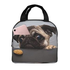 ZYZILYSBS Cute Dog Lunch Bags for Women Reusable Insulated Lunch Box Suitable Travel Work Picnic Beach Office Cooler Tote