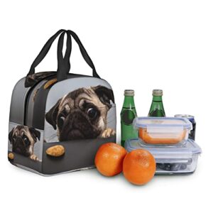 ZYZILYSBS Cute Dog Lunch Bags for Women Reusable Insulated Lunch Box Suitable Travel Work Picnic Beach Office Cooler Tote