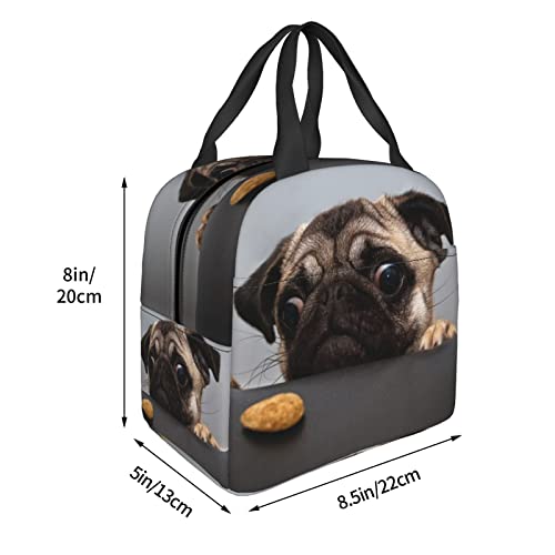 ZYZILYSBS Cute Dog Lunch Bags for Women Reusable Insulated Lunch Box Suitable Travel Work Picnic Beach Office Cooler Tote