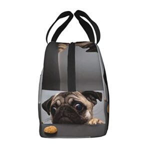 ZYZILYSBS Cute Dog Lunch Bags for Women Reusable Insulated Lunch Box Suitable Travel Work Picnic Beach Office Cooler Tote