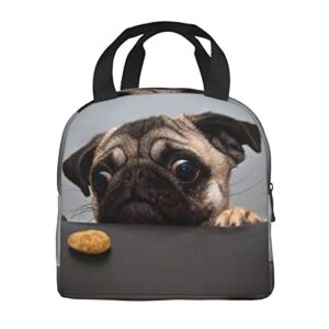 ZYZILYSBS Cute Dog Lunch Bags for Women Reusable Insulated Lunch Box Suitable Travel Work Picnic Beach Office Cooler Tote