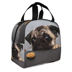 ZYZILYSBS Cute Dog Lunch Bags for Women Reusable Insulated Lunch Box Suitable Travel Work Picnic Beach Office Cooler Tote