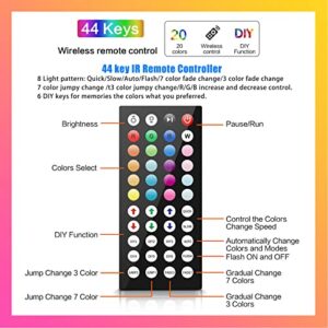 TJOY RGB Led Controller for Light Strip, 44 Key IR Remote for SMD 10mm 5050 3528 2835, 2 Ports of 4 Female Pin Controller, DC 12V-24V, 6A, Replacement Wireless Remote Control for Flexible Tape Light