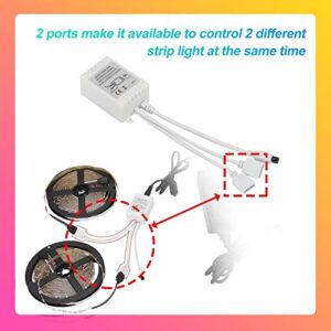 TJOY RGB Led Controller for Light Strip, 44 Key IR Remote for SMD 10mm 5050 3528 2835, 2 Ports of 4 Female Pin Controller, DC 12V-24V, 6A, Replacement Wireless Remote Control for Flexible Tape Light