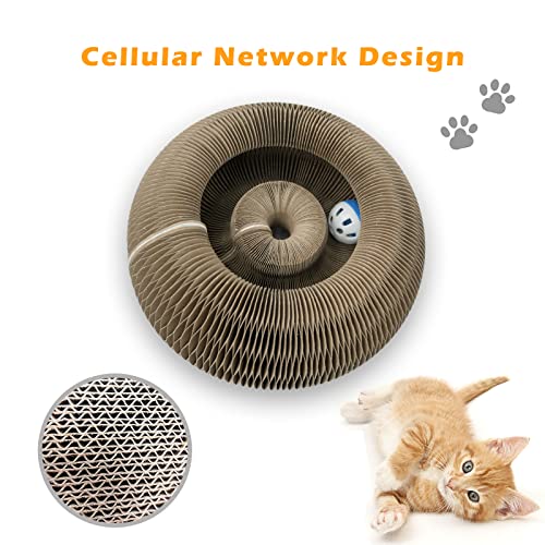 Magic Organ Cat Scratching Board ,Organ Cardboard Cat Scratcher for Indoor Cats Toys (1pcs)