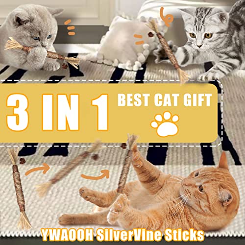 YWAOOH Catnip Toys with Silvervine for Cats, Cat Chew Toy for Kitten Teething, Interactive Cat Toy for Indoor Cats, Natural & Safe Cat Toys