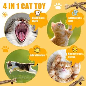 YWAOOH Catnip Toys with Silvervine for Cats, Cat Chew Toy for Kitten Teething, Interactive Cat Toy for Indoor Cats, Natural & Safe Cat Toys