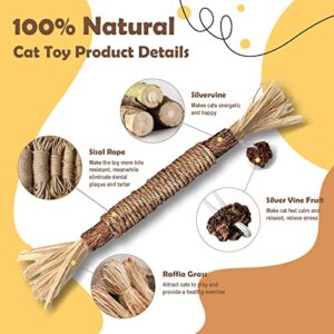 YWAOOH Catnip Toys with Silvervine for Cats, Cat Chew Toy for Kitten Teething, Interactive Cat Toy for Indoor Cats, Natural & Safe Cat Toys