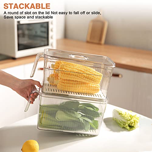 loobuu Produce Saver Containers for Refrigerator - 2 Pack Stackable Food Storage Container for Fridge, Berry Keeper Boxes with Removable Drain Tray Keep Fresh for Vegetables, Fruit,Meat and Salad
