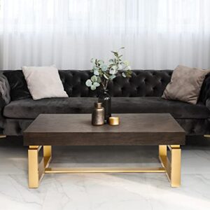 savonnerie coffee tables for living room, small coffee table with gold legs, oak top, 42" l x 21" w x 15" h