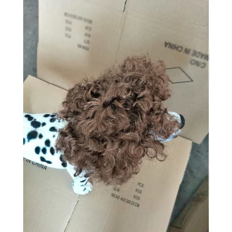 TO KU TOO YUO Dog Brown Wig Dog Short Curly Hair Braids Pet Brown Funny Wigs for Halloween Christmas Festival Cosplay Party Dog Cat Birthday Gifts