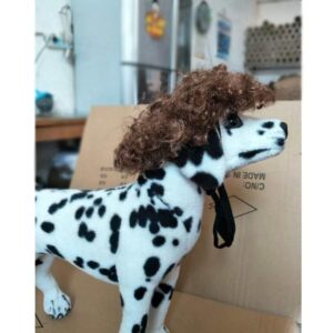 TO KU TOO YUO Dog Brown Wig Dog Short Curly Hair Braids Pet Brown Funny Wigs for Halloween Christmas Festival Cosplay Party Dog Cat Birthday Gifts