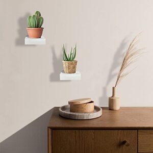 Gyoirzzm Small Floating Shelf, Wooden Hanging Display Floating Wall Shelves for Living Room Bedroom, 4 x 3 1/3-Inch, 3 Pack