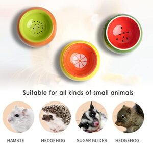 Hamster Bowls 3 Pack Dwarf Hamster Food Bowl Prevent Chewing Hamster Feeding Bowl Guinea Pig Hamster Water Rat Bowl Small Animal Food Dish for Syrian Rabbit Gerbil Chichilla Hedgehog Sugar Glider