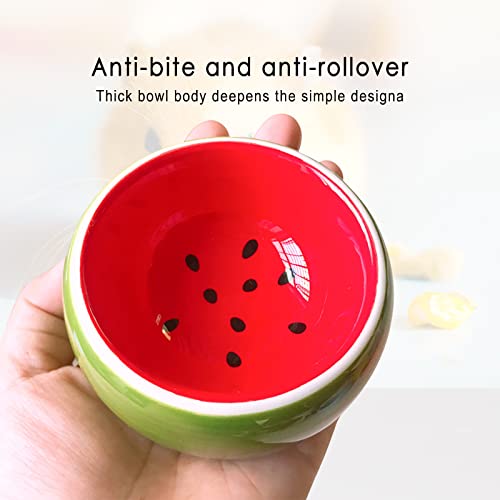 Hamster Bowls 3 Pack Dwarf Hamster Food Bowl Prevent Chewing Hamster Feeding Bowl Guinea Pig Hamster Water Rat Bowl Small Animal Food Dish for Syrian Rabbit Gerbil Chichilla Hedgehog Sugar Glider