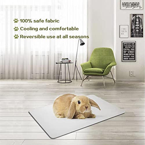 FIPASEN Rabbit Cooling Pad, 11.8x7.9 in Hamster Cooling Mat Pet Cool Plate for Rabbit Bunny Hamster Guinea Pig & Other Small Pets Stay Cool This Summer - Bite Resistance Pet Cooling Pad Ice Bed