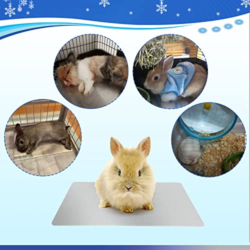 FIPASEN Rabbit Cooling Pad, 11.8x7.9 in Hamster Cooling Mat Pet Cool Plate for Rabbit Bunny Hamster Guinea Pig & Other Small Pets Stay Cool This Summer - Bite Resistance Pet Cooling Pad Ice Bed