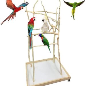 ExoticDad XS Parrot Stand - Customize Your Perch Designed Natural Dragonwood Bird Perch on Wheels Stand for Parrot, Cockatoo, Macaw, Conure, Birds, Cockatiel, African Grey - (24×36 Ft - B - 4 Ft H)