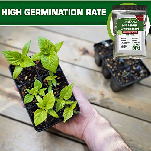 10 Most Popular Hot Peppers Seeds Varieties - USA Grown - 500+ Non-GMO Heirloom Seeds Pack for Planting Home Garden Indoor and Outdoor - Anaheim, Cayenne, Habanero & More