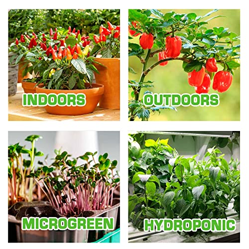 10 Most Popular Hot Peppers Seeds Varieties - USA Grown - 500+ Non-GMO Heirloom Seeds Pack for Planting Home Garden Indoor and Outdoor - Anaheim, Cayenne, Habanero & More