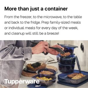 Tupperware Brand Vent ‘N Serve Container Set - 3 Small Round Containers to Prep, Freeze & Reheat Meals + Lids - Dishwasher, Microwave & Freezer Safe - BPA Free