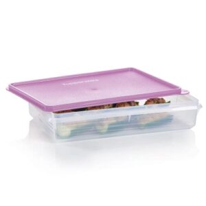 tupperware brand snack-stor large rectangular food storage container + lid, 3.6l (14¾ cup) - airtight, dishwasher safe & bpa free