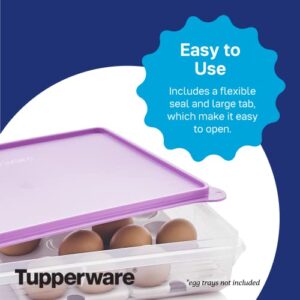 Tupperware Brand Snack-Stor Large Rectangular Food Storage Container + Lid, 3.6L (14¾ Cup) - Airtight, Dishwasher Safe & BPA Free