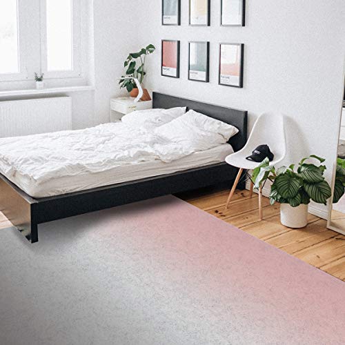 Area Rug Door Mat Gray and Pink Gradient Indoor Floor Carpet for Living Room Bedroom Home Decor Modern Contemporary Rug