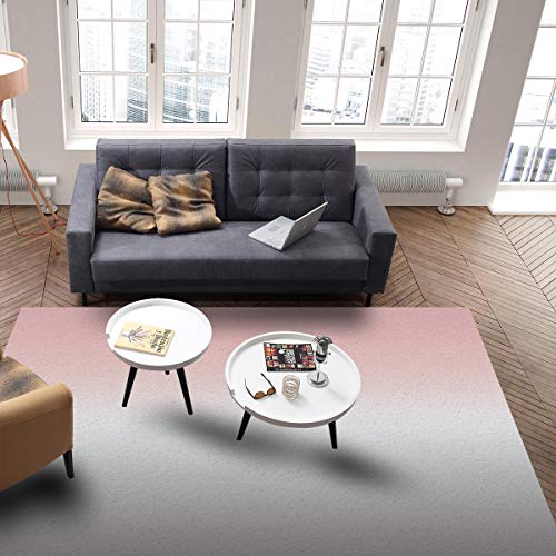 Area Rug Door Mat Gray and Pink Gradient Indoor Floor Carpet for Living Room Bedroom Home Decor Modern Contemporary Rug