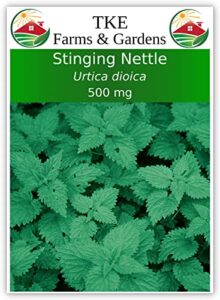 tke farms - stinging nettle seeds for planting, urtica dioica, 500 mg ~ 2000 seeds